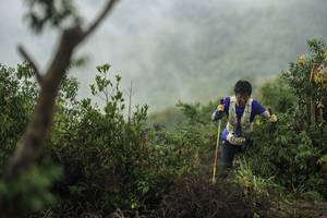 BIB: 
                            <button type="button" onclick="openModal(24740157)" class="btn btn-primary btn-sm float-right btn-popup" data-toggle="modal" data-target=".modal-high-quality">
                        <i class="fas fa-shopping-cart"></i> Add to Cart
                    </button>
                                            <button type="button" onclick="isThisMe(24740157, true)" class="btn btn-success btn-sm float-right btn-popup btn-isme hidden" data-toggle="tooltip" data-placement="bottom" title="นี่คือรูปของคุณใช่ไหม คลิกที่นี่เพื่อเอาเข้าอัลบั้ม">
                        <i class="fas fa-plus"></i> Add to album
                    </button>
                    <button type="button" onclick="isThisMe(24740157, false)" class="btn btn-warning btn-sm float-right btn-popup btn-isnotme hidden">
                        <i class="fas fa-ban"></i> Remove from album
                    </button>